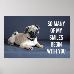 Welpe auf Lounging Couch Poster