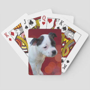 Welpe aus schwarzem und weißem Staffelgewächs, Spielkarten
