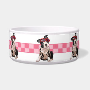 Welpe Bostons Terrier Napf