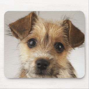 Welpe (Canis familiaris) Mousepad
