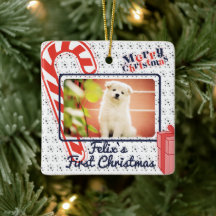 Welpe das erste Foto für Weihnachten individuelle 