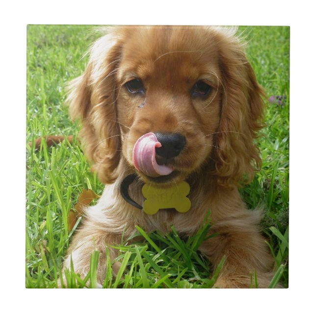 Welpe, der Lippen leckt Fliese (Vorderseite)