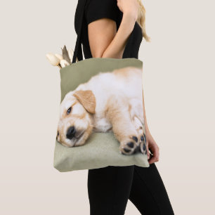 Welpe, der sich auf Sofa hinlegt Tasche