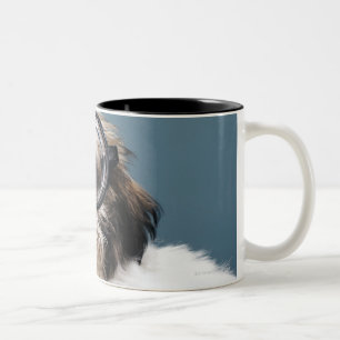 Welpe, der starke Gläser trägt Zweifarbige Tasse