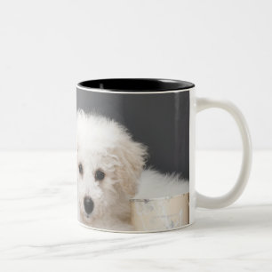 Welpe, der unter Farbenzinn sitzt Zweifarbige Tasse