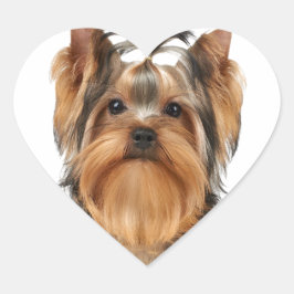 Welpe der Yorkshire Terrier Herz-Aufkleber