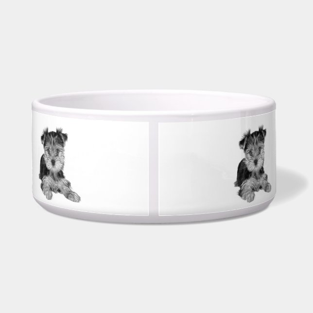 Welpe des Yorkshires Terrier Napf (Rückseite)