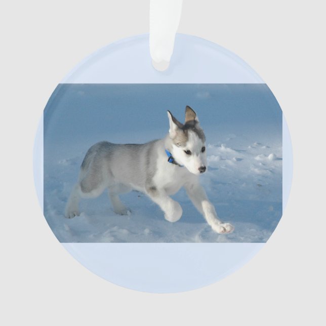 Welpe, die im Schnee läuft Ornament (Vorderseite)