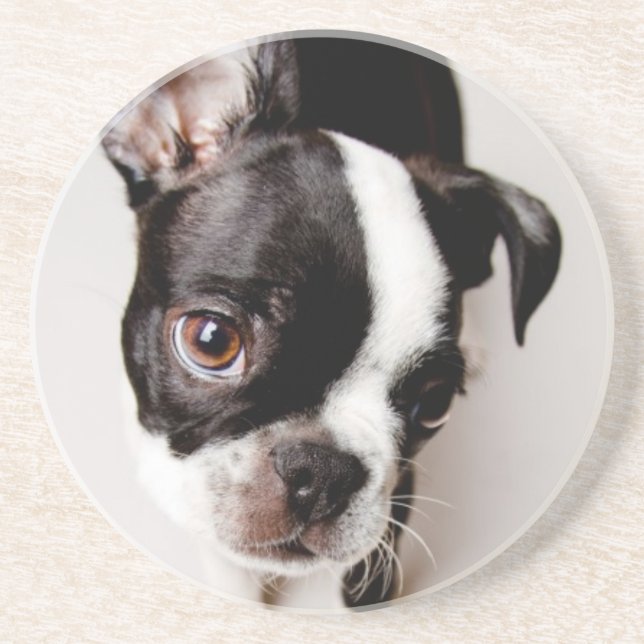 Welpe Edison Boston Terrier Sandstein Untersetzer (Vorne)