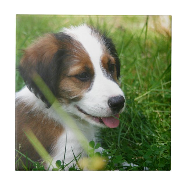 Welpe Fliese (Vorderseite)