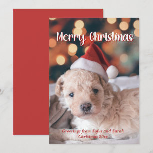 Welpe Foto Frohe Weihnachten
