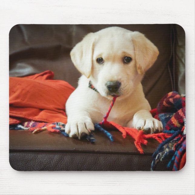 Welpe Getty Bild-| auf einem Sofa Mousepad (Vorne)