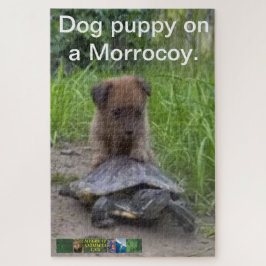 Welpe Hund ​ auf einem Morrocoy ​ Rätsel.