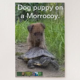 Welpe Hund ​ auf einem Morrocoy ​ Rätsel.