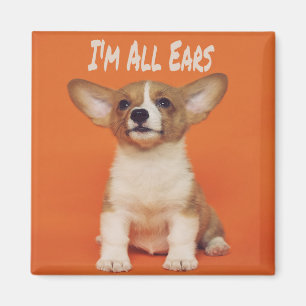 Welpe Hund ich bin ganz Ohr, Niedlich Meme Magnet