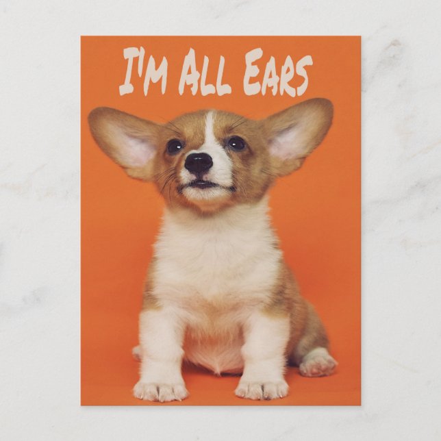 Welpe Hund ich bin ganz Ohr, Niedlich Meme Postkarte (Vorderseite)