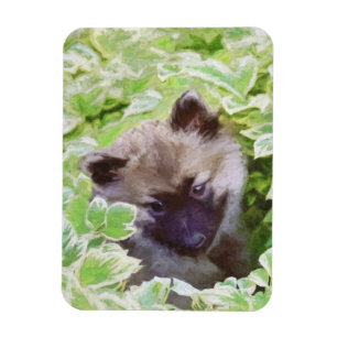 Welpe im Garten Malerei Original Kunst Magnet