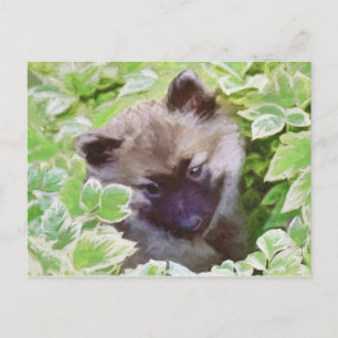 Welpe im Garten Malerei Original Kunst Postkarte
