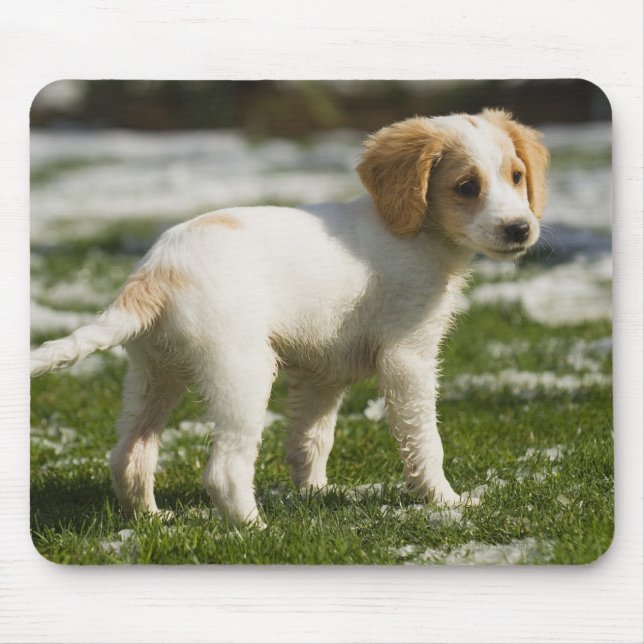 Welpe im Schnee spielen Mousepad (Vorne)