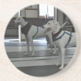 Welpe im Spiegel Getränkeuntersetzer