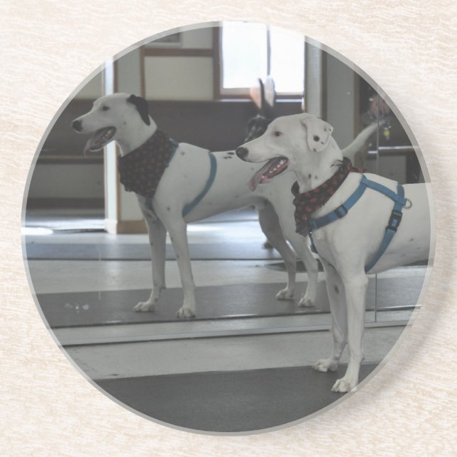 Welpe im Spiegel Getränkeuntersetzer (Vorne)