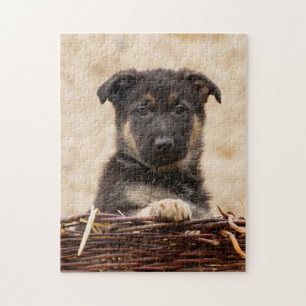 Welpe in Basket