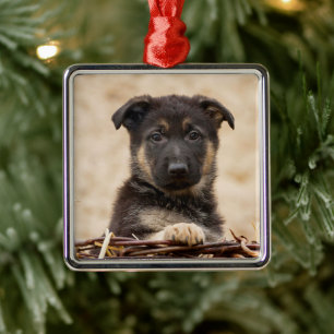Welpe in Basket Ornament Aus Metall