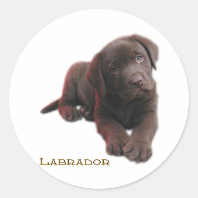 Welpe Labrador Runder Aufkleber (Vorderseite)