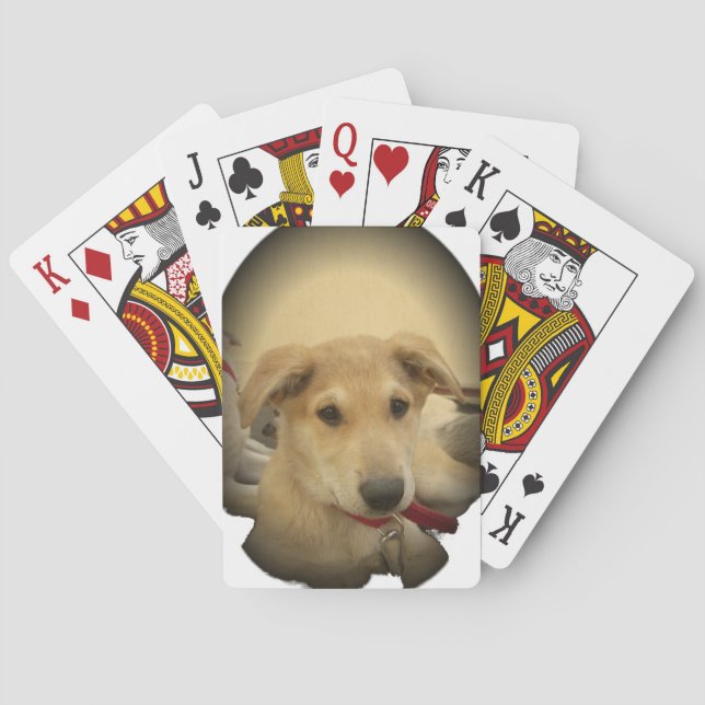 Welpe Liebe: Der beste Freund des Menschen Spielkarten (Rückseite)