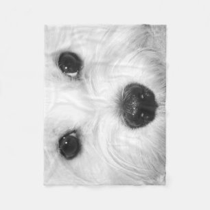Welpe Liebe Maltese Magie auf jeden Blick Fleecedecke