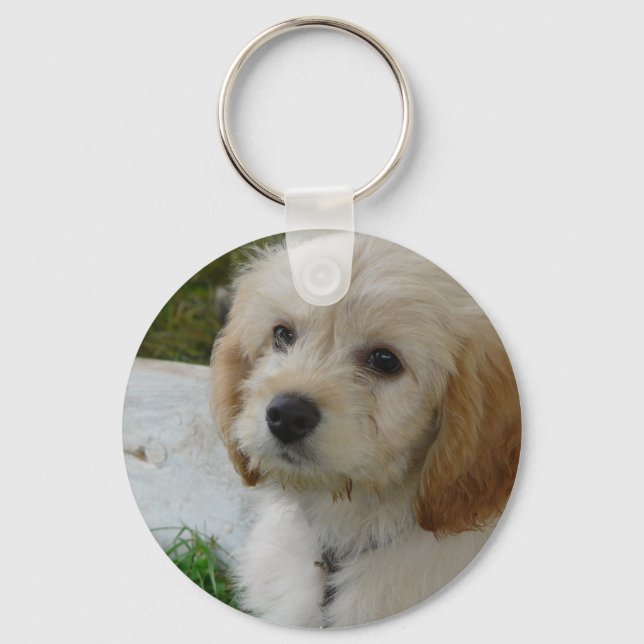 Welpe Liebe - Niedliches MaltiPoo Dog Foto Schlüsselanhänger (Vorderseite)