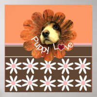 Welpe Liebe