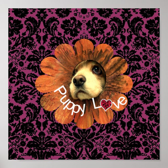 Welpe Liebe Poster (Vorne)
