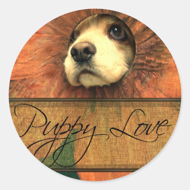 Welpe Liebe sieht Thru einen Zaun aus Runder Aufkleber (Vorderseite)