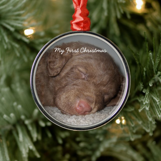 Welpe mein erstes Weihnachts-Foto Ornamente (Baum)