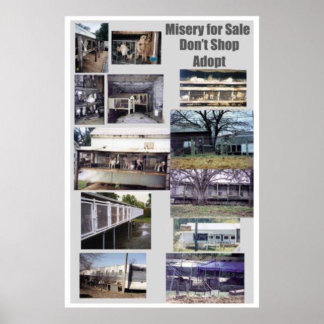 Welpe Mills Bree Misery Poster (Vorne)