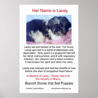 Welpe Mills Bree Misery Poster