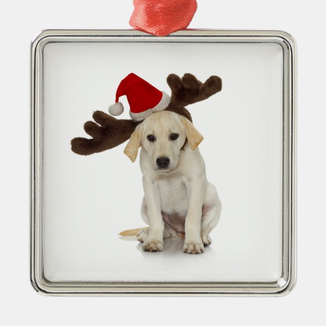 Welpe mit den Weihnachtsmannmütze-und Ren-Ohren Silbernes Ornament (Vorne)