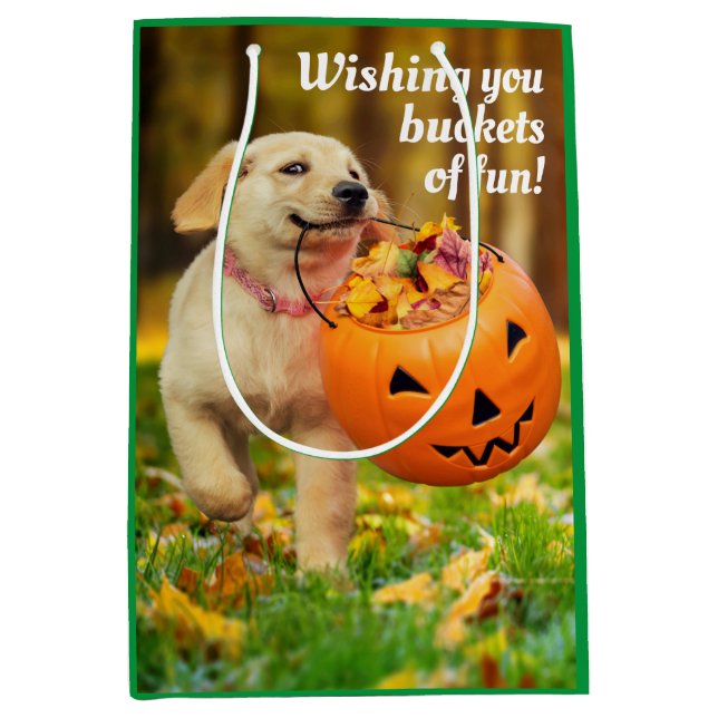 Welpe mit Kürbis Mittlere Geschenktüte (Vorderseite)