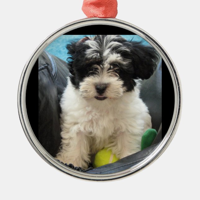 Welpe mit Tennisball-Rettung Ornament Aus Metall (Vorne)