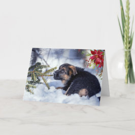 Welpe mit Watercolor Poinsettia Karte