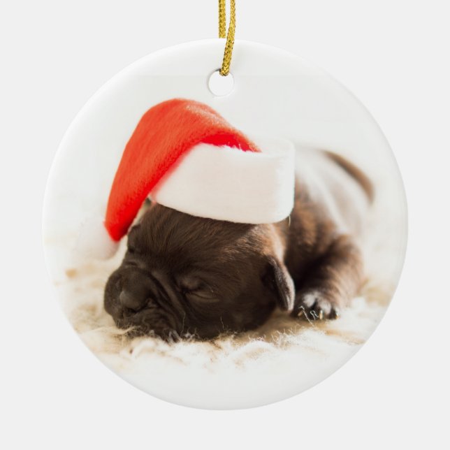 Welpe mit Weihnachtsmannmütze auf weißem Hintergru Keramikornament (Vorne)