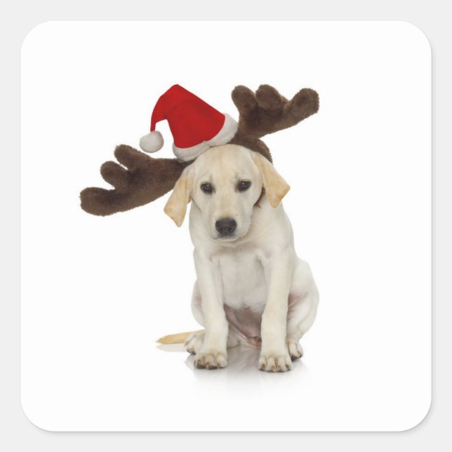 Welpe mit Weihnachtsmannmütze und Rentier Quadratischer Aufkleber (Vorderseite)