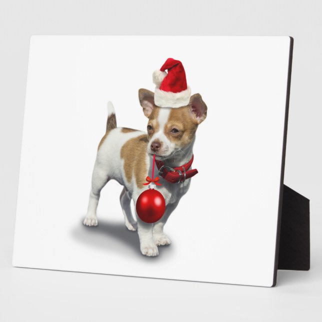 Welpe mit Weihnachtsmütze und Ball Fotoplatte (Seite)