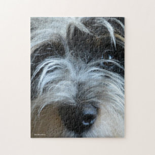 Welpe mustert Puzzlespiel