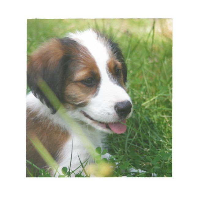 Welpe Notizblock (Vorderseite)