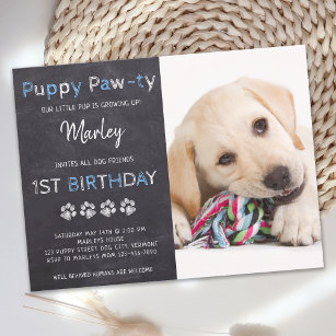 Welpe Pawty Chalkboard Blue Hund Geburtstag Einladungspostkarte