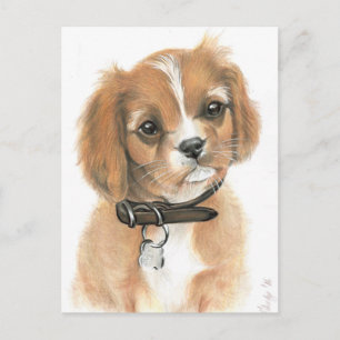 Welpe Postkarte