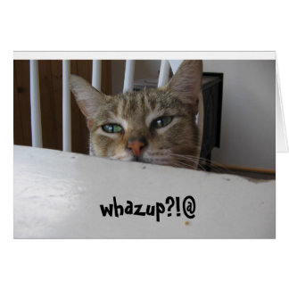 Welpe Puzzy Katze?!