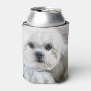 Welpe Shih Tzu Dosenkühler
